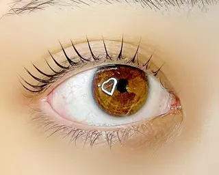 マツエク・マツパ Celeste Venus所属・🧸Celeste Venusのマツエク・マツパデザイン