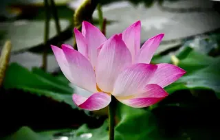 Twinkle Twinkleのエステ・リラクイメージ