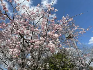 ネイル nail salon  ∞ mikanal ∞所属・nailsalon ∞ ﾐｶﾅﾙ ∞のネイルデザイン