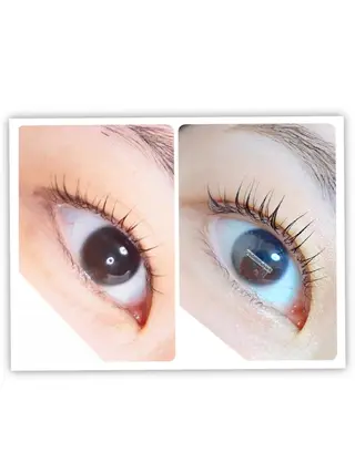 マツエク・マツパ 🎼グラデーション スタイル札幌♫*⁠✧のマツエク・マツパデザイン