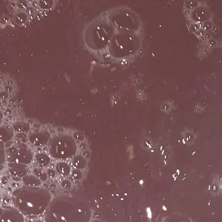 ネイル OTOHA/ 渋谷/パラジェルのネイルデザイン