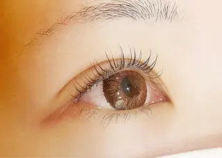 マツエク・マツパ hikari 🌻*.ﾟのマツエク・マツパデザイン