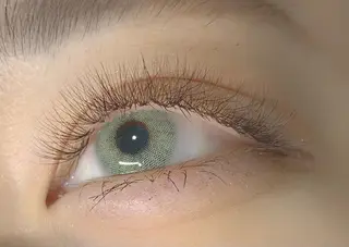 マツエク・マツパ Luana所属・🕊 Luana 🌷︎の眉毛・アイブロウイメージ