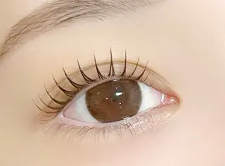 マツエク・マツパ アレグレス所属・アレグレス@池袋 🌹大人気店🌹のマツエク・マツパデザイン