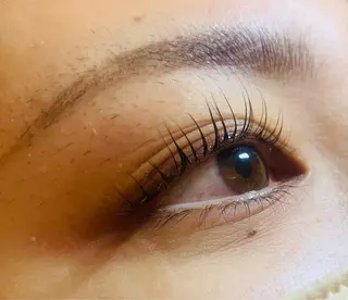 マツエク・マツパ Celeste Venus所属・🧸Celeste Venusのマツエク・マツパデザイン