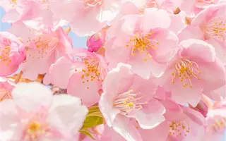 デ･アイム土浦所属・～エステモデル募集～ RURIのその他イメージ