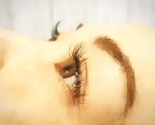 マツエク・マツパ Anlly hair所属・加賀谷 彩のマツエク・マツパデザイン