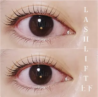 マツエク・マツパ Mola. eye&beauty salon所属・【Mola.】 eyelashのマツエク・マツパデザイン