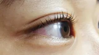 マツエク・マツパ angelux 所属・完全個室サロン🌹 angelux🌹のマツエク・マツパデザイン