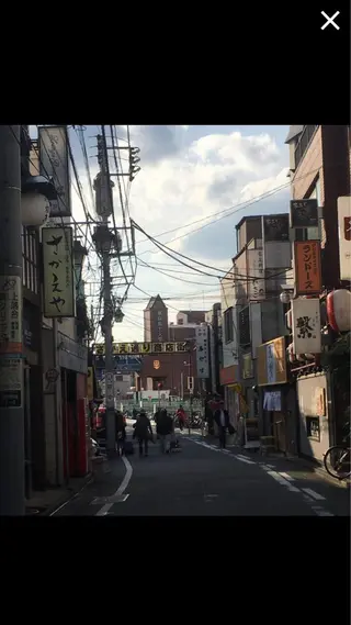 新島 美恵子のヘアスタイル