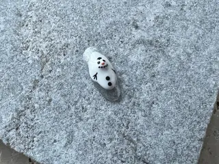 ネイル tree houseのネイルデザイン