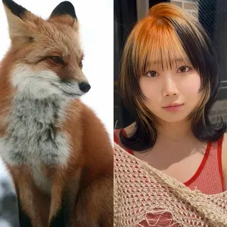 ロング カラー ウルフとデザイン カラーの神のヘアスタイル