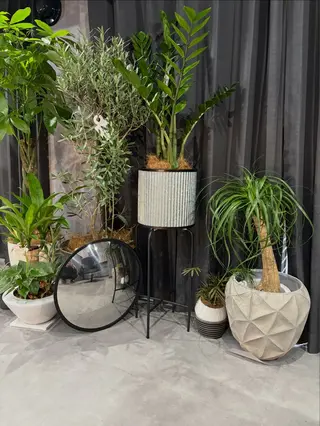 ショート カラー nameless髪質 改善ブリーチ心斎橋のヘアスタイル