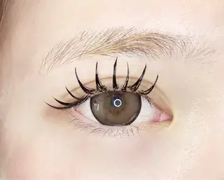 マツエク・マツパ LEDエクステ専門店 Fedis 京橋のマツエク・マツパデザイン