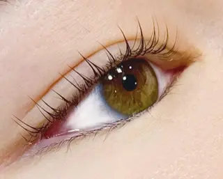 マツエク・マツパ SEED&Beauty代官山所属・ABE 祐天寺アイラッシュのマツエク・マツパデザイン