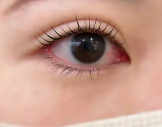 マツエク・マツパ ciela. eyelashのマツエク・マツパデザイン