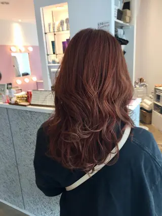 セミロング 所渉/韓国レイヤー /ウルフカットのヘアスタイル