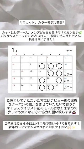 ショート カラー 川瀬 加奈のヘアスタイル