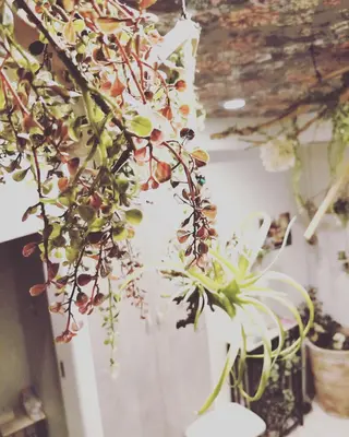 ラヴァコケット 梅田店のエステ・リラクイメージ