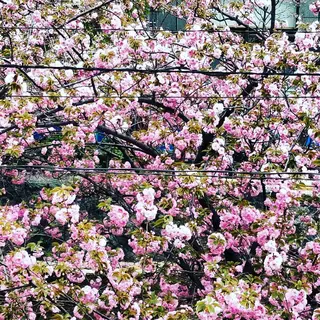 spa hair  ark 富井直美のヘアスタイル