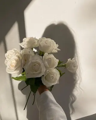 Bianca大宮店 マヘリ未奈🤎のマツエク・マツパデザイン