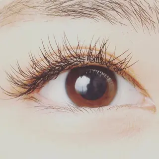 マツエク・マツパ プライベートサロン TESeRA所属・IMAI MEGUMIの眉毛・アイブロウイメージ