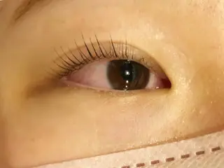 マツエク・マツパ 【Refine】 磯部のマツエク・マツパデザイン