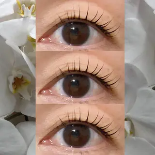 マツエク・マツパ orihara𐙚 まつげパーマ/眉毛のマツエク・マツパデザイン