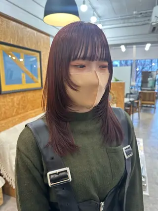 ミディアム カラー 🪭risa 暖色/レイヤー🪭のヘアスタイル