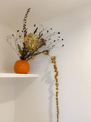 マツエク・マツパ まつ毛パーマまつエク 緑が丘徒歩1分/松田のマツエク・マツパデザイン