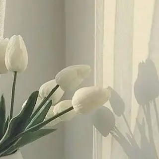 feliz eyelash所属・おざき ゆきののマツエク・マツパデザイン