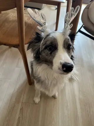 ネイル Lélia nail Himariのネイルデザイン