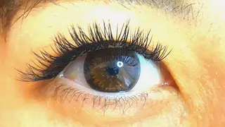 マツエク・マツパ Eyelashsalon   Mayuru所属・Mayuru Yuu‪𖤐.*ﾟのマツエク・マツパデザイン