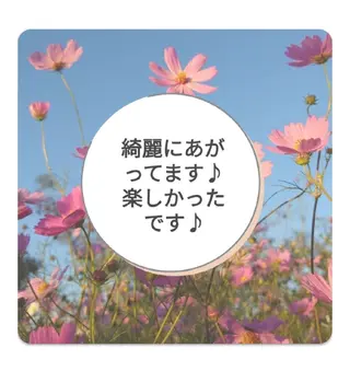 マツエク・マツパ 錦糸町 ハッピーウーマンのマツエク・マツパデザイン