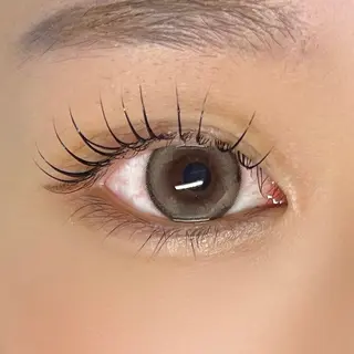 マツエク・マツパ 垢抜け眉WAX専門 ちゅるんまつげ|鎌倉の眉毛・アイブロウイメージ