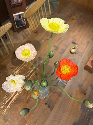 中村 芽衣那のヘアスタイル