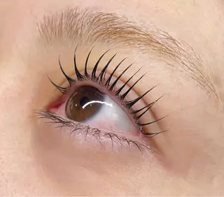 マツエク・マツパ RINO 🫧のマツエク・マツパデザイン