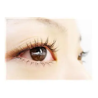 マツエク・マツパ まつげ&眉の専門店 アントススタッフの眉毛・アイブロウイメージ