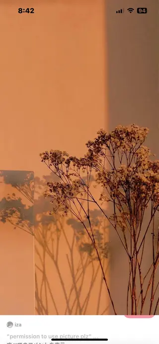 Mana ·͜·ᰔᩚのマツエク・マツパデザイン