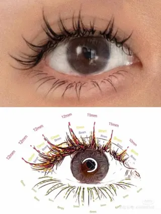 マツエク・マツパ foisalon 大久保店のマツエク・マツパデザイン