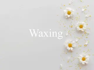 アイブロウ Shiho 【Wax】の眉毛・アイブロウイメージ