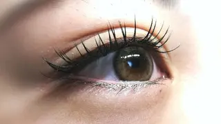 マツエク・マツパ angelux 所属・完全個室サロン🌹 angelux🌹のマツエク・マツパデザイン