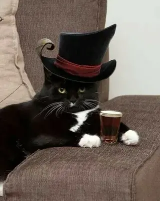 ネイル つめノ さきのネイルデザイン