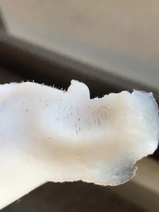 産毛専門店 Bittoのエステ・リラクイメージ