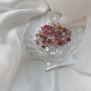 カラー ネイル 𓂃🦢Aurora Swan🌙𓂃のネイルデザイン