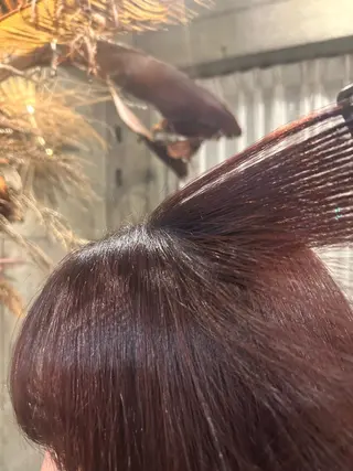 ミディアム カラー 🪞鷹野 優芽/カラ ーモデル募集中🪞のヘアスタイル