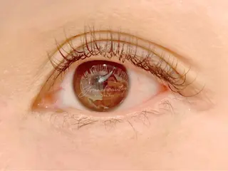 マツエク・マツパ 下田 恋雪 / granbeautyのマツエク・マツパデザイン