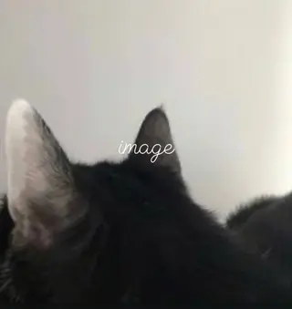 🌙透明感カラー/ 丁寧施術|松本のヘアスタイル