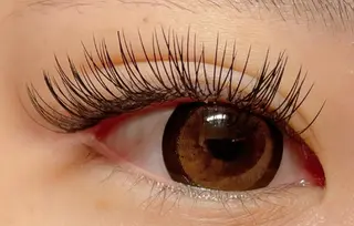 マツエク・マツパ princess 森 碧海のマツエク・マツパデザイン