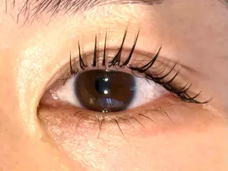 マツエク・マツパ eyelash salon RACOTA所属・MAYA .のマツエク・マツパデザイン